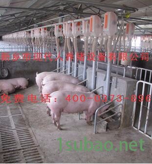 供应现代人XD1500型母猪自动供料线育肥猪用自动供料线 母猪用自动供料线图3