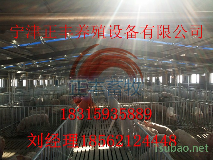 正丰HG-1000 养猪自动供料系统图3