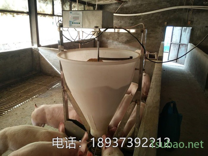 养猪自动供料新款粥料器 猪用液态干湿料槽图6