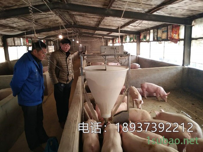 养猪自动供料新款粥料器 猪用液态干湿料槽图4