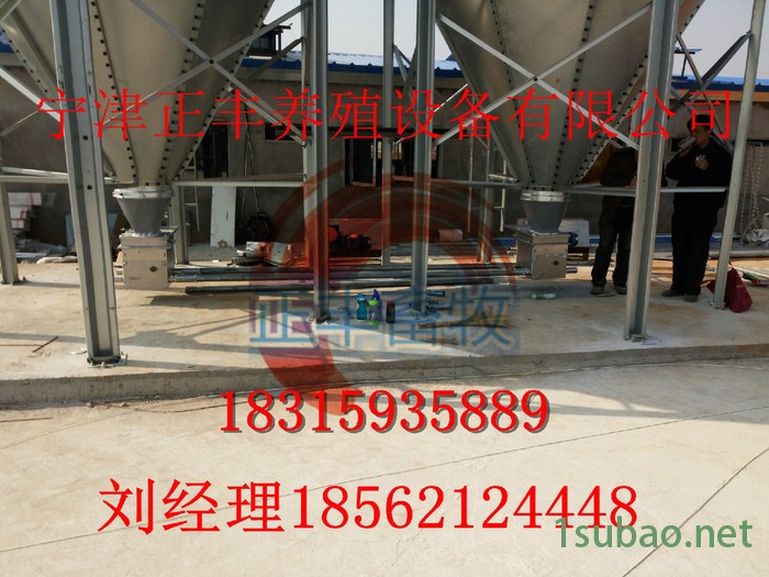 正丰 自动化供料系统  自动饲喂塞盘传送链图2