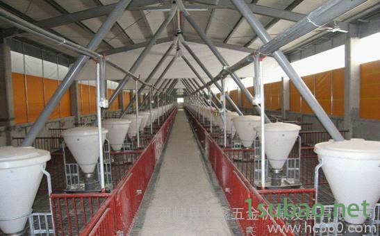 供应亿鑫自动化料线 自动化供料图2