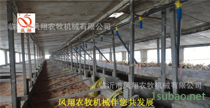 凤翔农牧养鸡鸭自动供料设备 鸡鸭鹅喂料专用设备图3