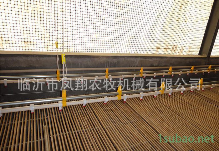 养鹅自动水线 养鸭全自动供料系统 自动喂料喂水线 料线配件绞龙图3