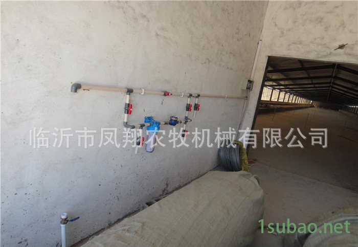 养鹅自动水线 养鸭全自动供料系统 自动喂料喂水线 料线配件绞龙图2