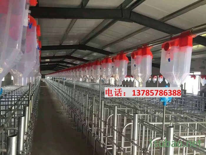猪哈哈LX-01 猪场自动喂料系统报价自动上料系统自动给料装置猪料线生产厂家福宇自动化养猪设备专业生产图4