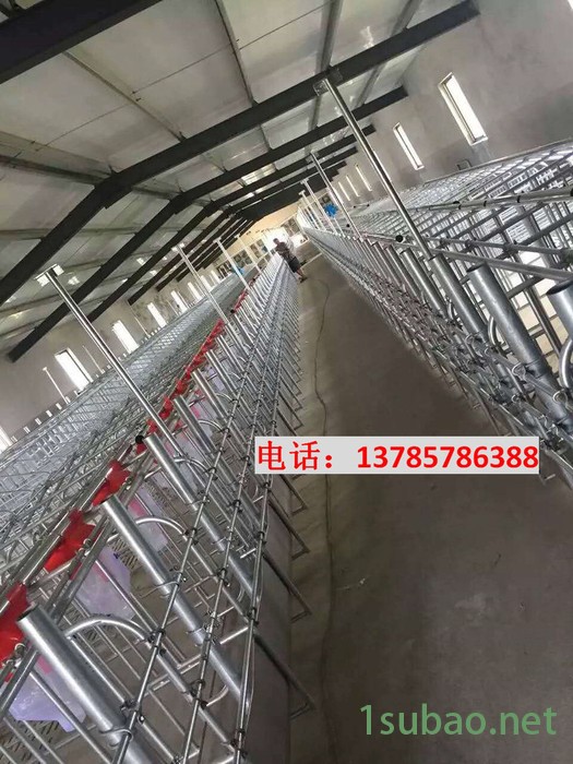 猪哈哈LX-01 猪场自动喂料系统报价自动上料系统自动给料装置猪料线生产厂家福宇自动化养猪设备专业生产图3