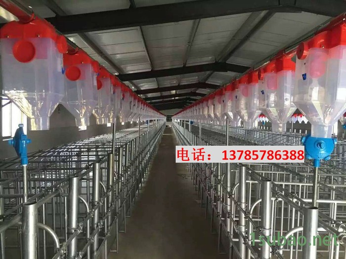 猪哈哈LX-01 猪场自动喂料系统报价自动上料系统自动给料装置猪料线生产厂家福宇自动化养猪设备专业生产图2