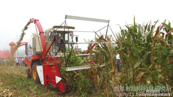 **  科阳牌青储秸秆收集机全自动 玉米秸秆切碎回收机 秸秆收割机 秸秆收获粉碎机图2
