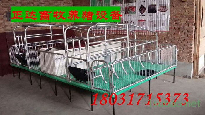 泊头正达养猪设备 猪场自动化料线 玻璃钢料塔 复合板母猪产床2.1*3.6 全自动供料系统 猪场料线设备图7