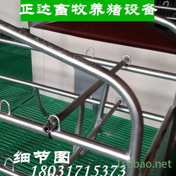 泊头正达养猪设备 猪场自动化料线 玻璃钢料塔 复合板母猪产床2.1*3.6 全自动供料系统 猪场料线设备图3