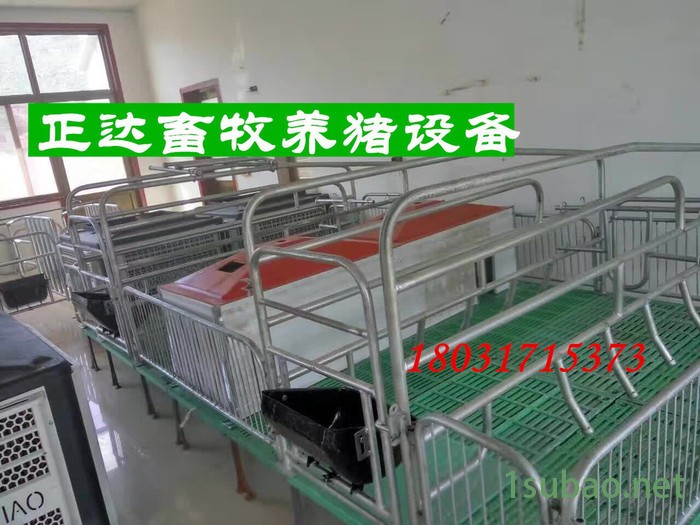 泊头正达养猪设备 猪场自动化料线 玻璃钢料塔 复合板母猪产床2.1*3.6 全自动供料系统 猪场料线设备图6