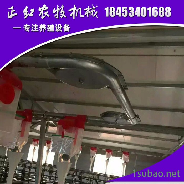 德州正红农牧zh-190养猪设备  自动供料系统  直销欢迎订购图2
