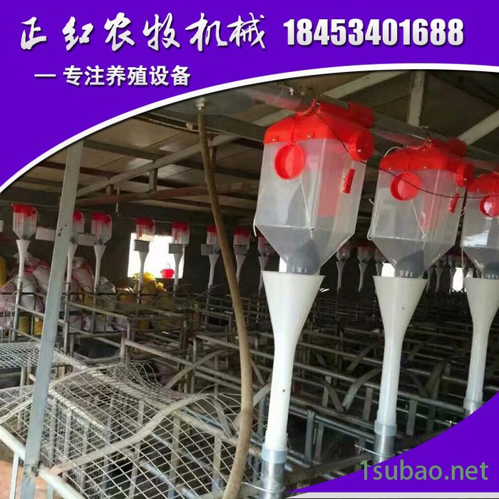 德州正红农牧zh-190养猪设备  自动供料系统  直销欢迎订购图5