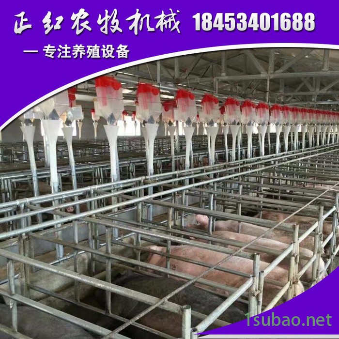 德州正红农牧zh-190养猪设备  自动供料系统  直销欢迎订购图4