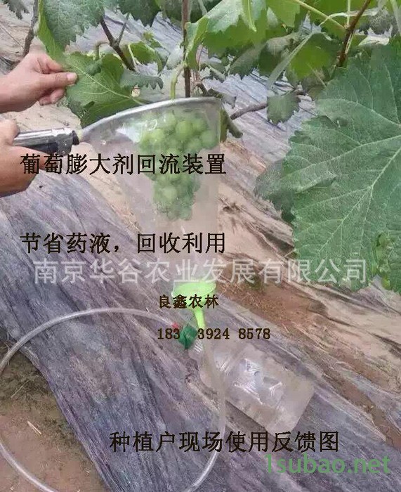 葡萄膨大剂药液回收工具环形喷头水果回流装置农药喷洒均匀不浪费图3