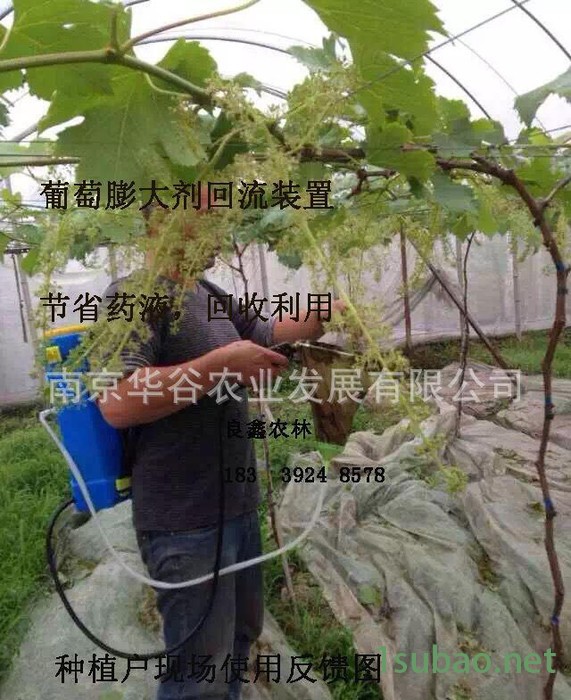 葡萄膨大剂药液回收工具环形喷头水果回流装置农药喷洒均匀不浪费图2