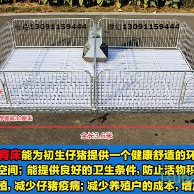 广安自动送料装置报价_限位栏厂家_东明畜牧养殖设备
