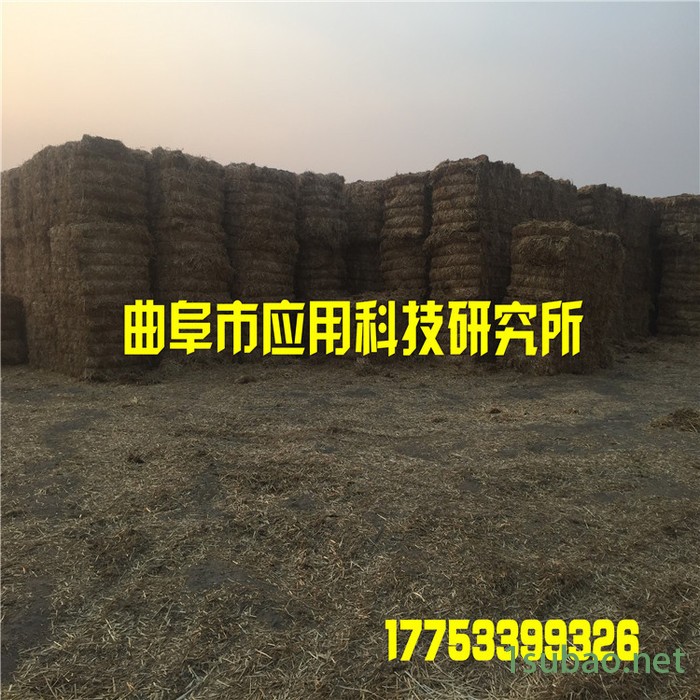 **液压打包机品牌大全 液压成型机 全自动捆包机图2