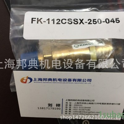 优势KINGSTON 美国原装进口  安全阀   FK112CSSX-250-045