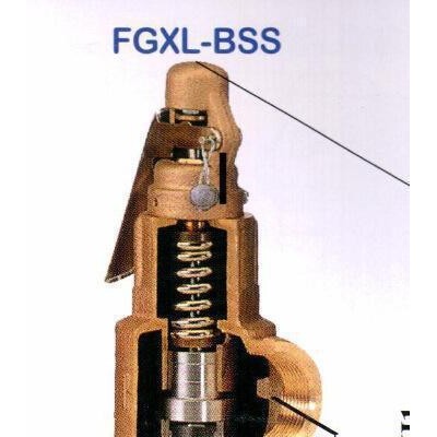 弹簧式安全阀  不锈钢安全阀 弹簧式安全阀 进口安全阀FGX