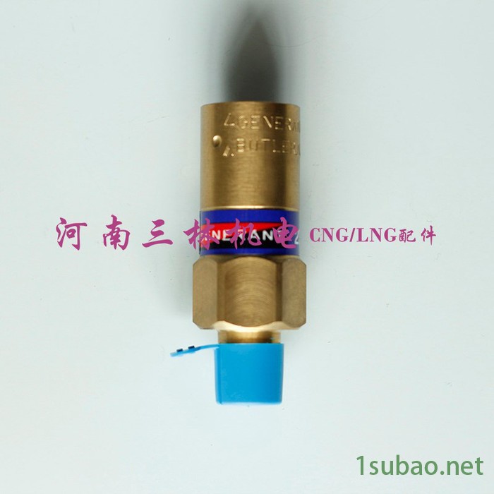 GENERANT安全阀美国进口GENERANT安全阀低温低压安全阀CRVP2-250B-K-350PSI图2