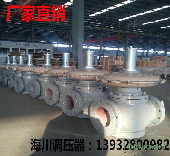 低压调压器 燃气设备减压阀 燃气管道调压器 安全阀图3