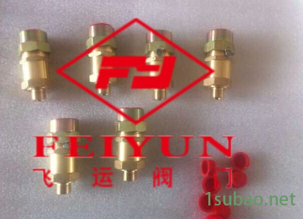 FY飞运铜安全阀11FH13MU-0300TF安全阀图2