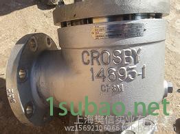 美国 CROSBY  安全阀图3