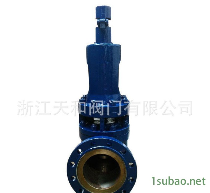 直销A48Y-100V电站高温高压带散热器安全阀 浙江天和阀图2