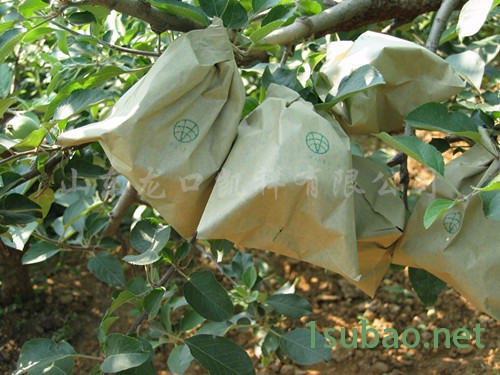 凯祥GDJ-DS-6单双层果袋机 多功能制袋机图5