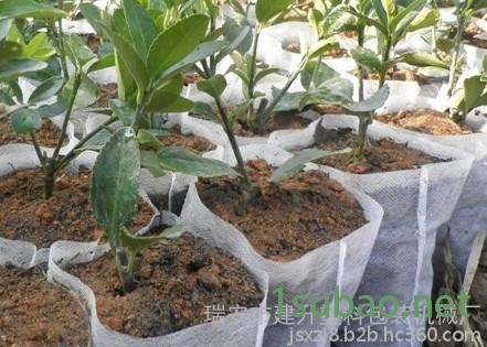 育苗袋制袋机 育苗袋无纺布制袋机图3