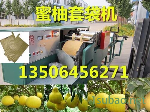 供应凯祥GDJ--PGTD苹果套袋制袋机，苹果果袋机图3