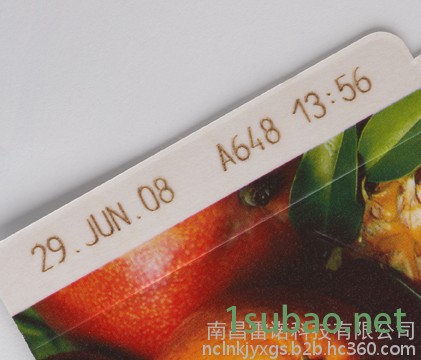 伟迪捷BL25 伟迪捷喷码机  KGK喷码机  江西喷码机  南昌喷码机 喷码机墨水 喷码机溶剂 喷码机清洗剂图6