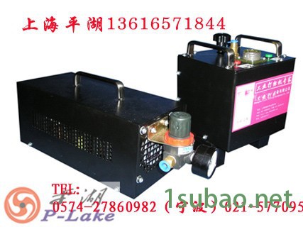 供应上海平湖工业打标机 南京打标机 舟山打标机 宁海打标机 奉化打标机 上海打标机 奉化打标机 义乌打标机图6