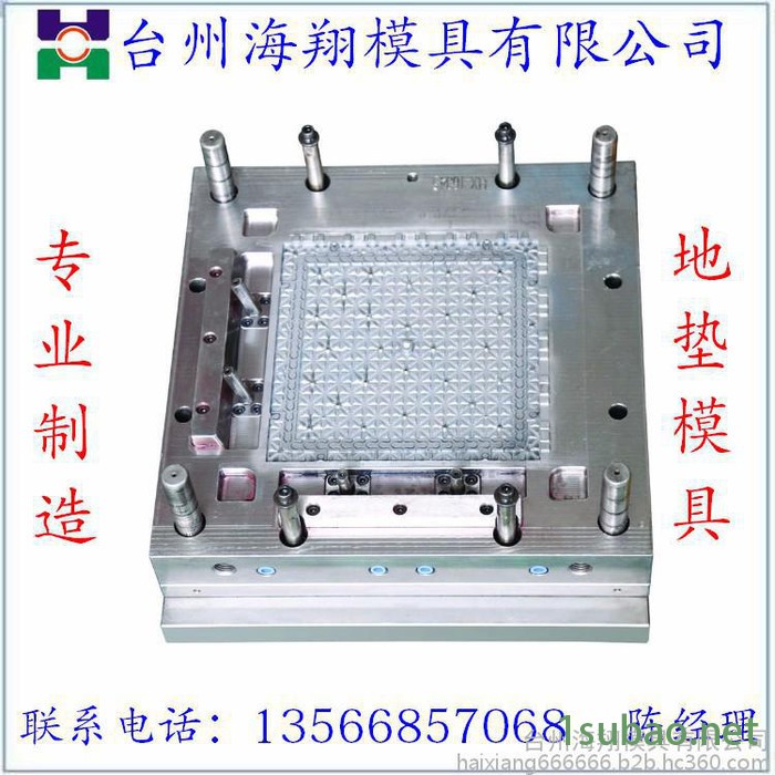 海翔 注塑模具  注塑模具 米子悬浮地垫模具图3