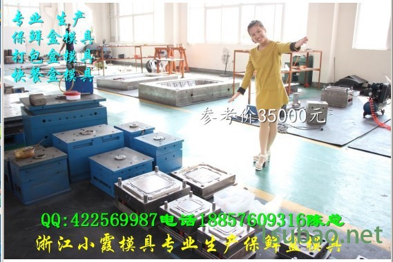 请问保鲜盒注塑模具公司图6