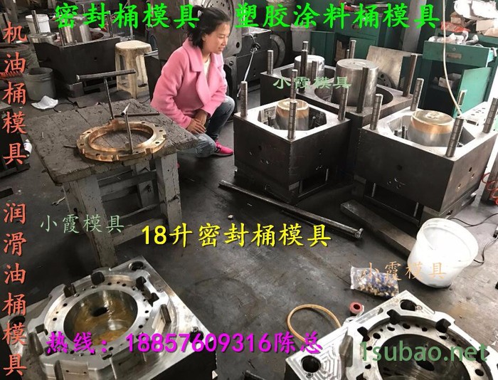 台州模具注塑模具 塑胶模具 塑料模具 注射模具 新款塑胶桶八角模具图5