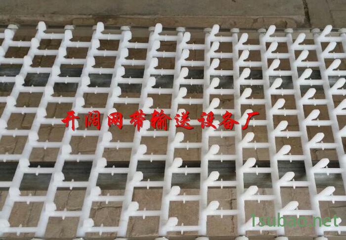 注塑模块网带 尼龙塑料洗碗机网带生产商—山东开阔图2