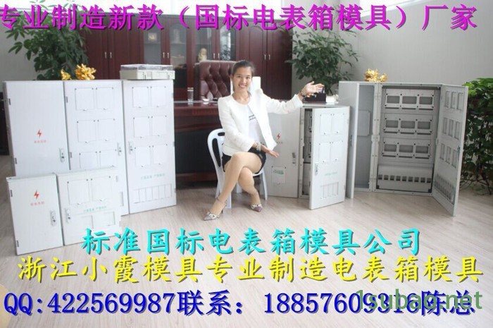 大型注塑模具 新国网三相九电表箱模具厂家地址图4