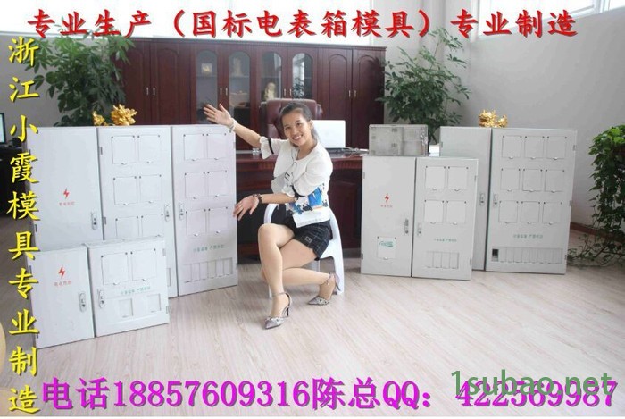 浙江注塑模具 国网新标准三相2电表箱模具小霞地址图3