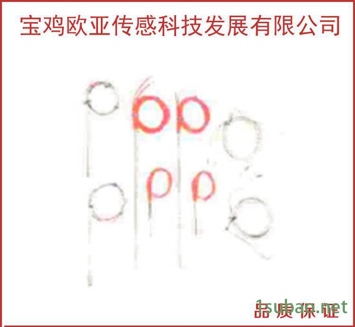 生产销售W系列温度传感器图3