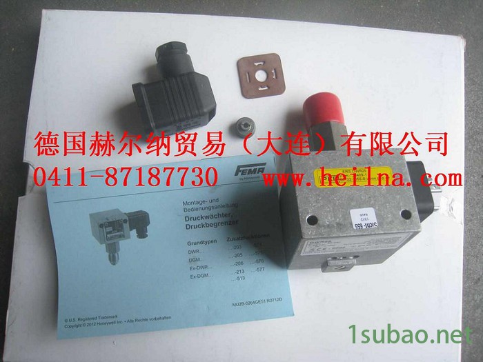 优势供应 原装进口德国FEMA压力开关，压力传感器图2