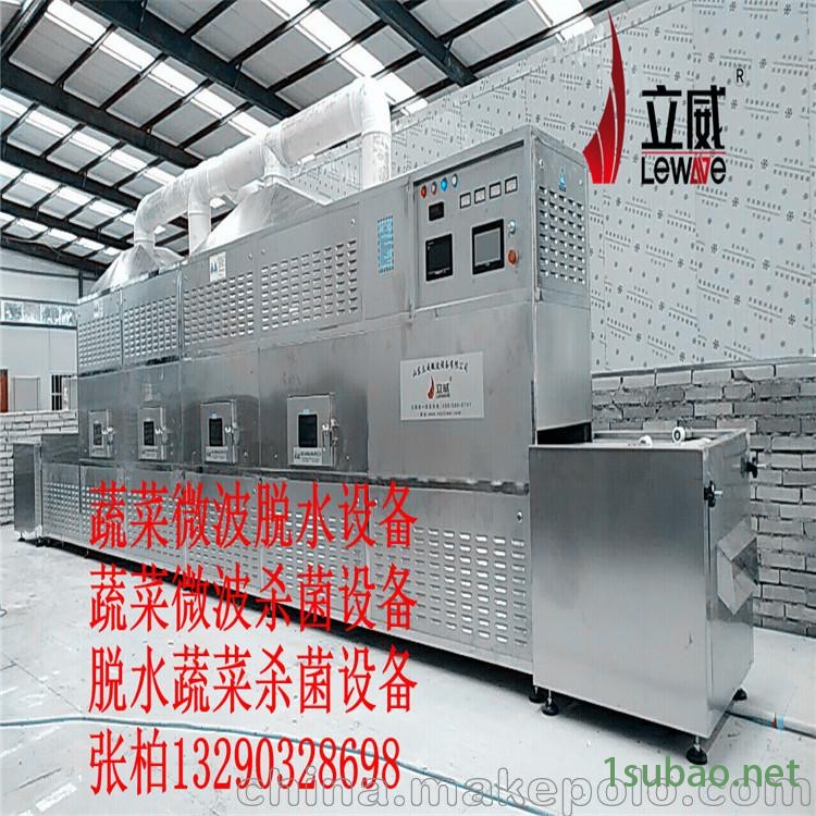 脱水蔬菜微波杀菌杀虫设备厂家图2