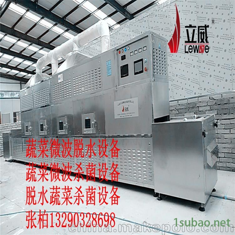 快速蔬菜脱水设备 微波杀菌设备