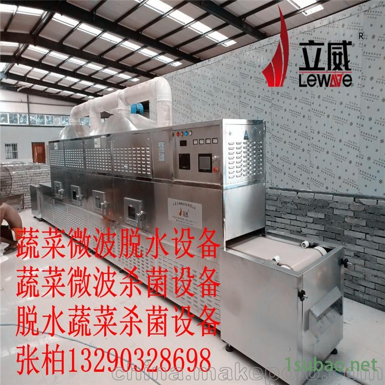 蔬菜脱水选择用立威微波 脱水蔬菜杀菌设备