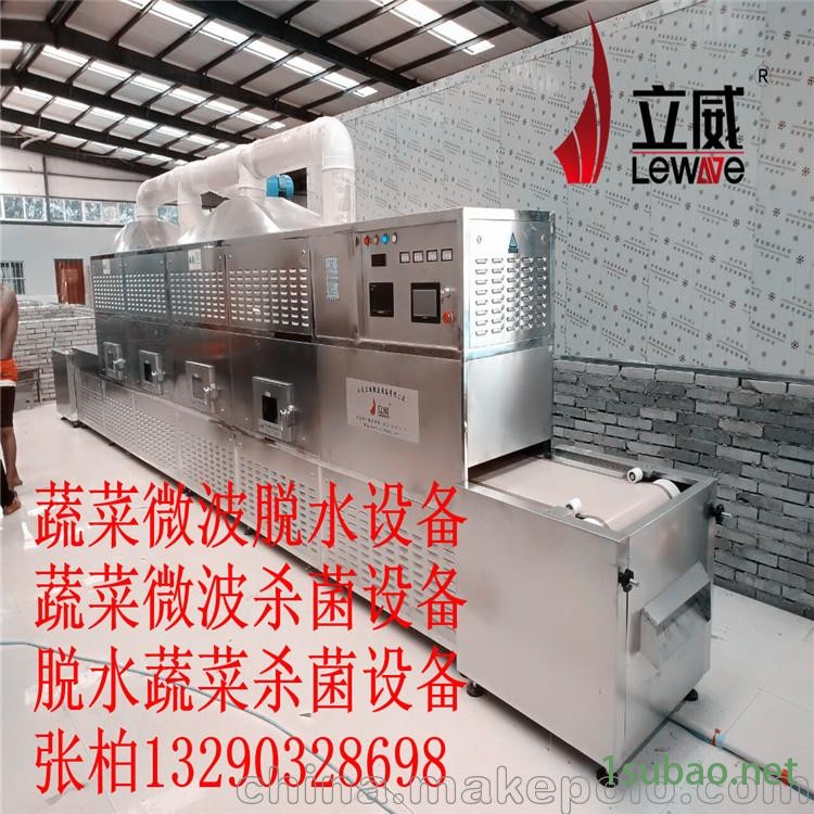 蔬菜脱水选择用立威微波 脱水蔬菜杀菌设备图2