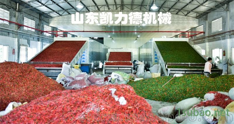 单层带式干燥机厂家定制 葡萄干网带烘干机图3