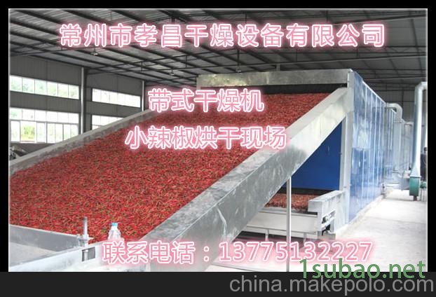 辣根带式干燥机生姜片热风干燥机 多层带式干燥机图2