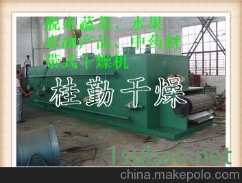 瓜子烘干机DWT系列瓜子带式干燥机图3